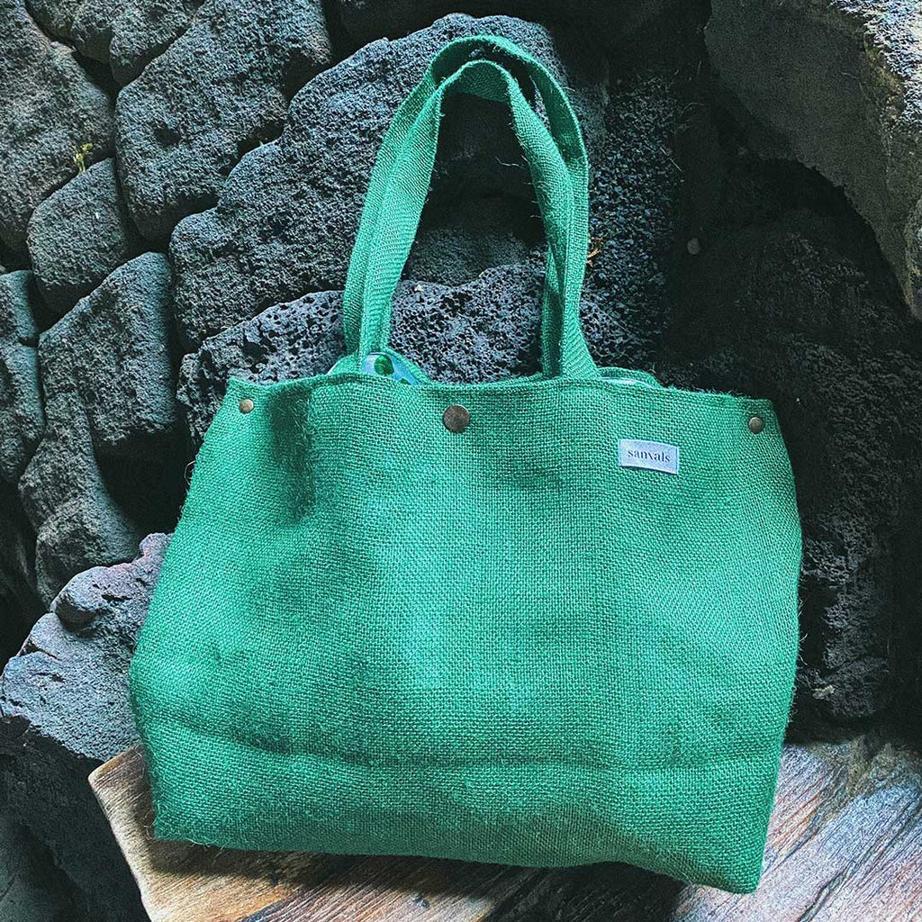 Bolso en la zona volcánica de Lanzarote